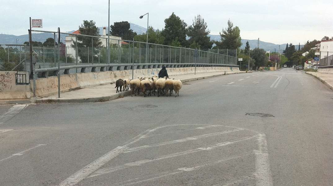 Φτιάξε μου τη μέρα: Αστική αθηναϊκή βόλτα