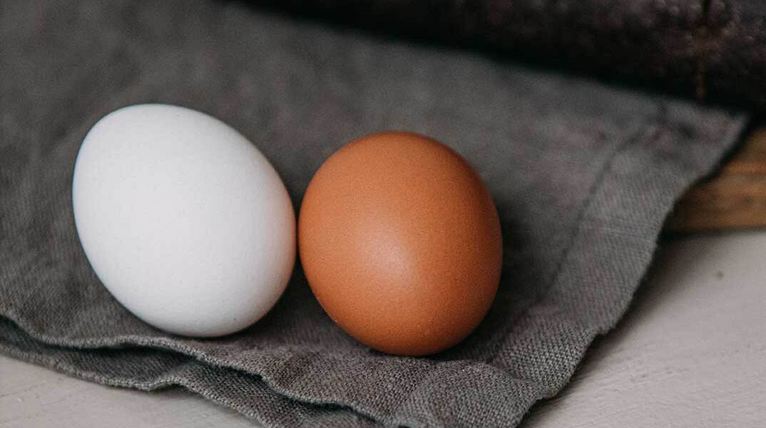 Λευκό και καφέ αυγό στο τραπέζι