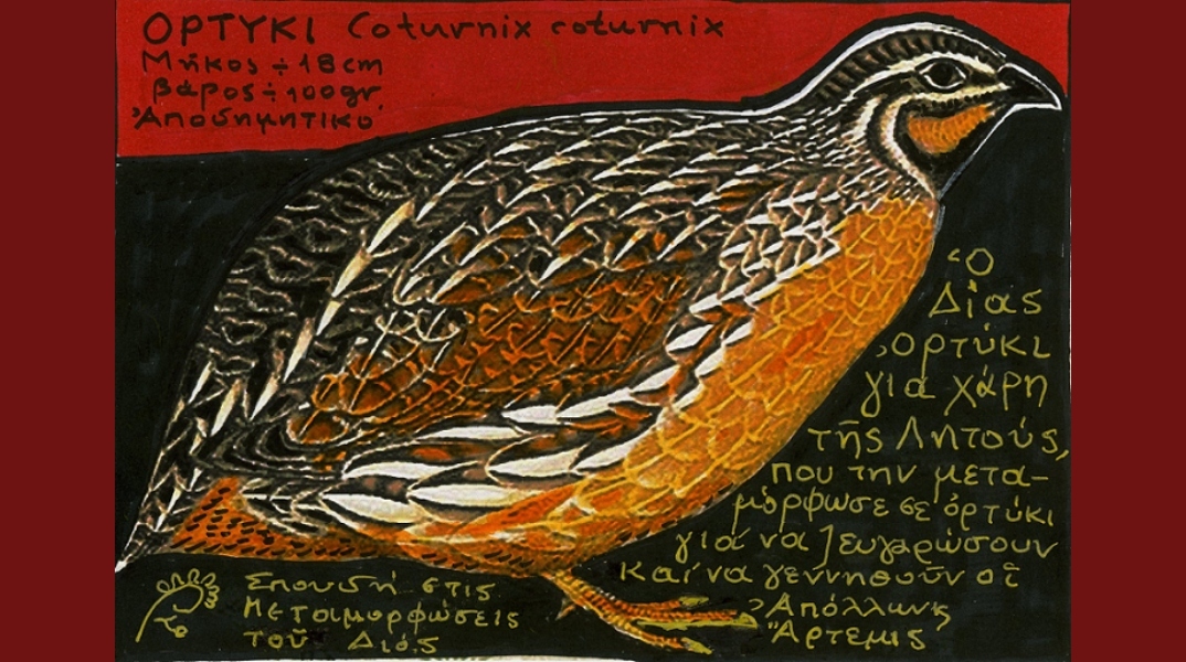 Ορτύκι