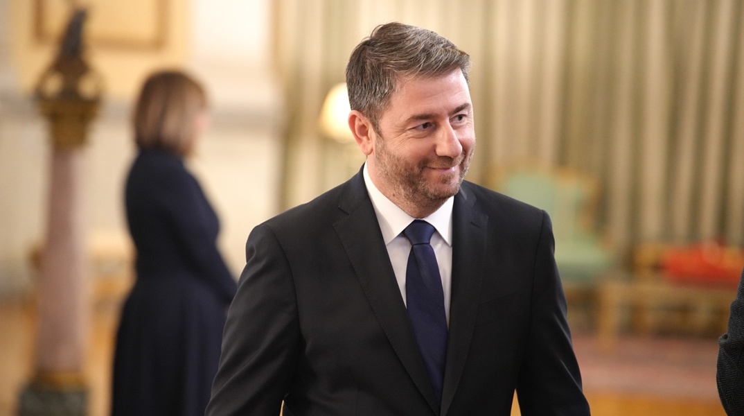 Νίκος Ανδρουλάκης, πρόεδρος ΠΑΣΟΚ