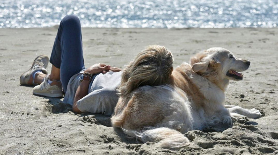 Γυναίκα και σκύλος στην παραλία