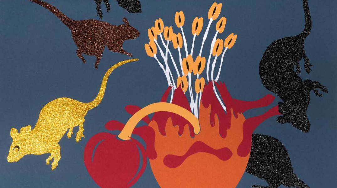 Ανθή Τίγκα ,''Εισβολή'', χρωματιστά χαρτιά