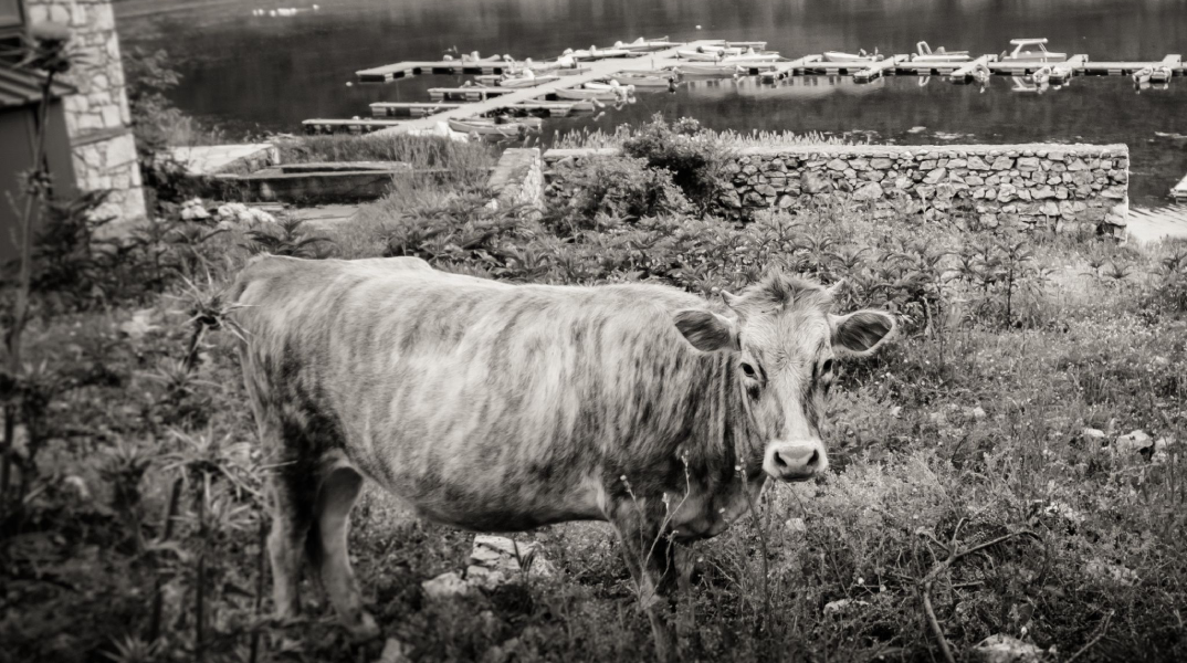 Ψαράδες, πέντε χρόνια μετά τη συμφωνία των Πρεσπών