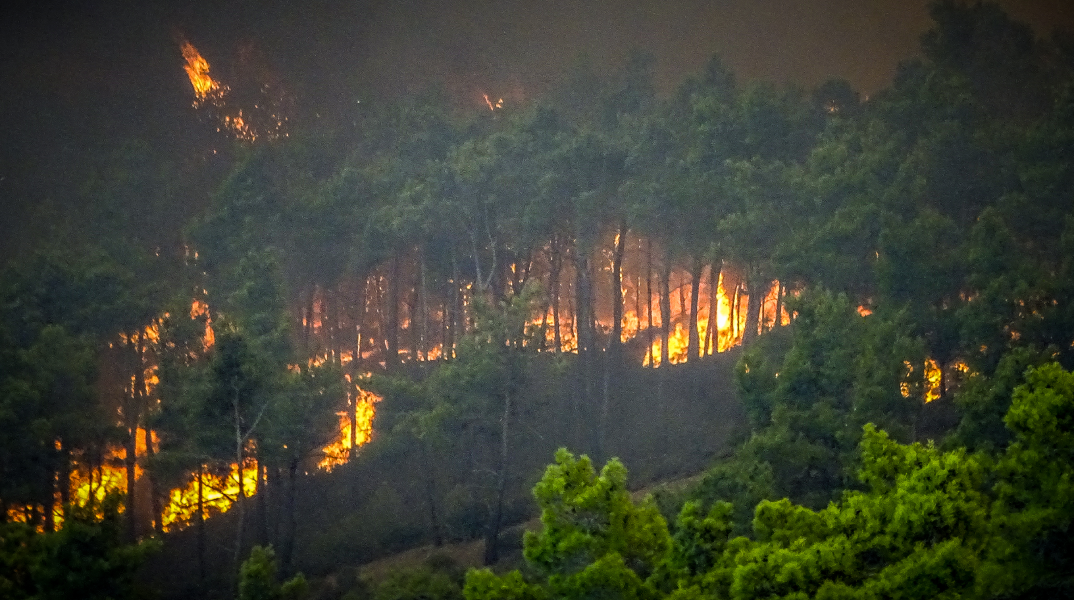 Δασικές φωτιές: Η ατιμωρησία και η σιωπή ανοίγουν την όρεξη