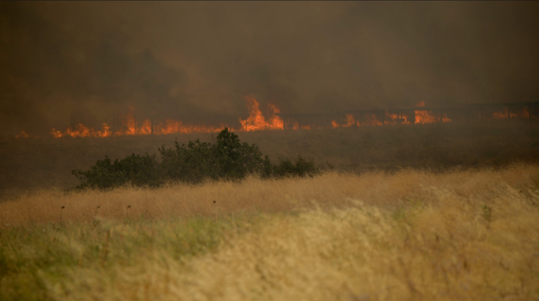 Φωτιά στην Αλεξανδρούπολη
