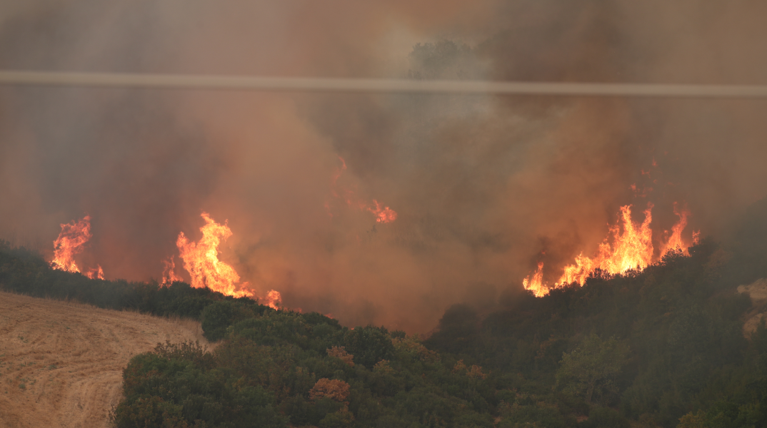 Φωτιά στην Αλεξανδρούπολη