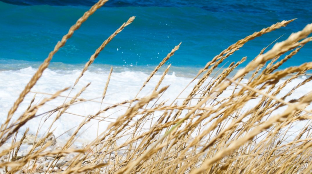 Ο καιρός αύριο, Παρασκευή 25 Αυγούστου