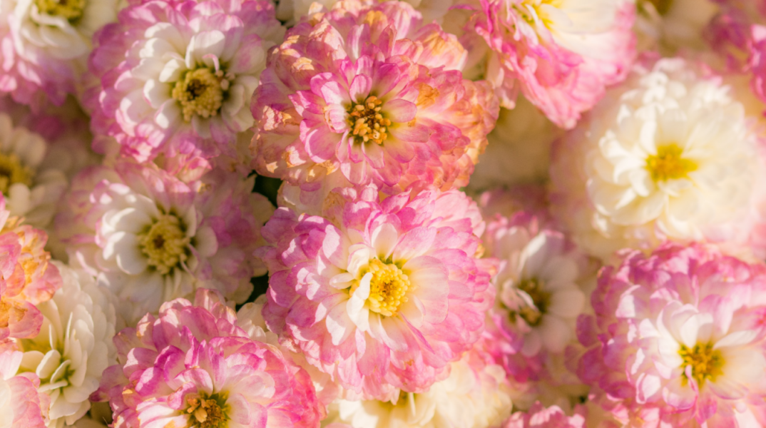 Εορτολόγιο: Σήμερα 25 Αυγούστου γιορτάζει…