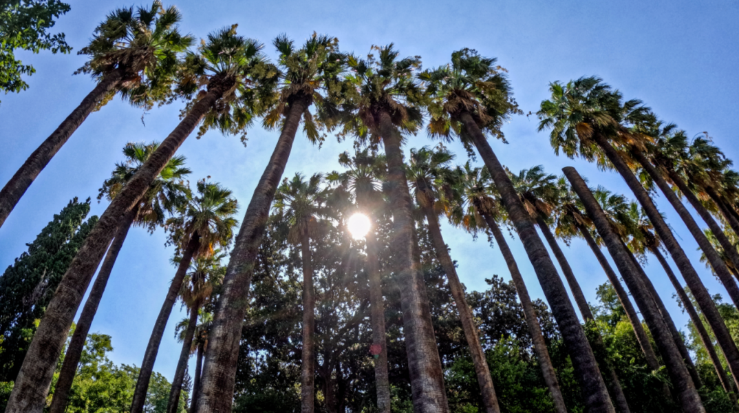 Πρόγνωση καιρού για αύριο 26 Αυγούστου
