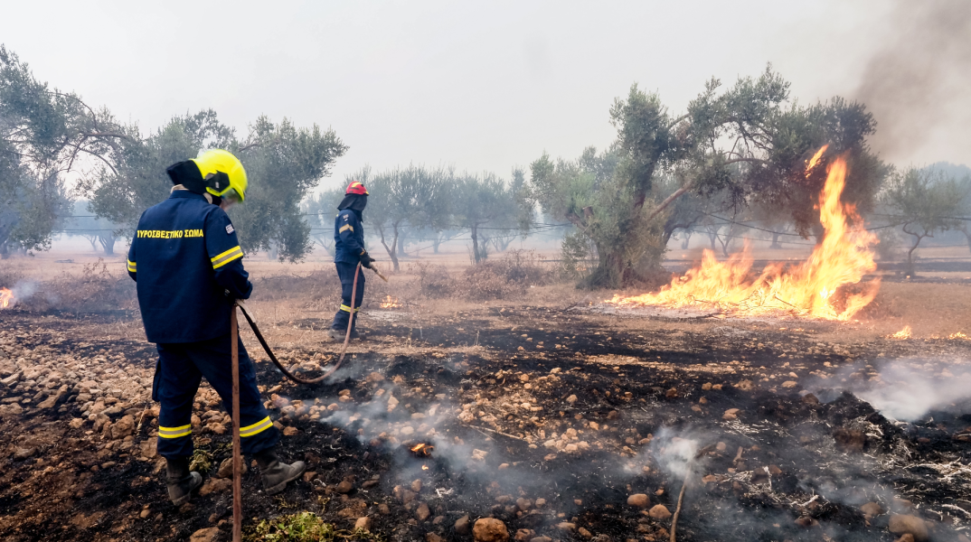 Βρέθηκε η λύση και για τις πυρκαγιές: κι άλλες προσλήψεις