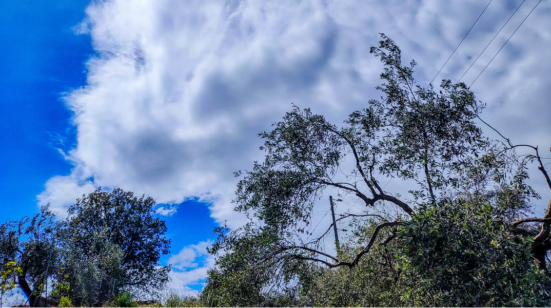 Ο καιρός αύριο Δευτέρα - Πρόγνωση για μικρή πτώση θερμοκρασίας και συννεφιά