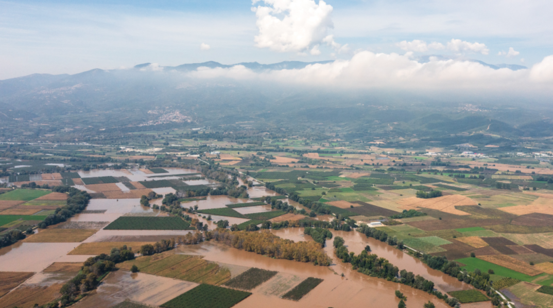 Απολυμάνσεις σε σπίτια και ελέγχους σε χωράφια στη Θεσσαλία, προτείνει ο καθηγητής Σαρηγιάννης