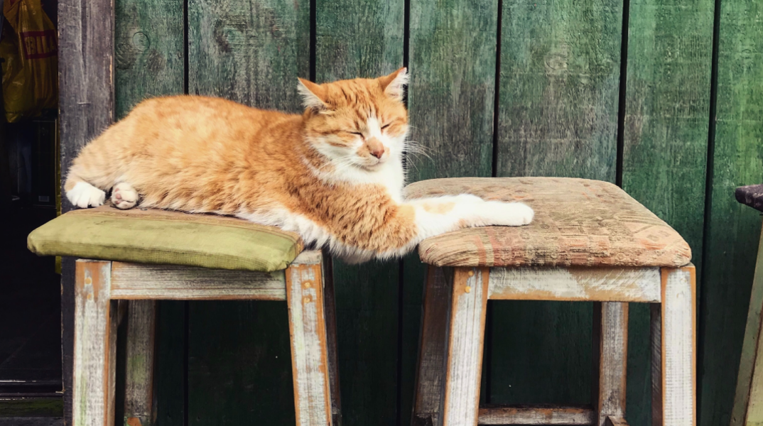 Είσαι 50+; Διάλεξε τη σωστή καρέκλα