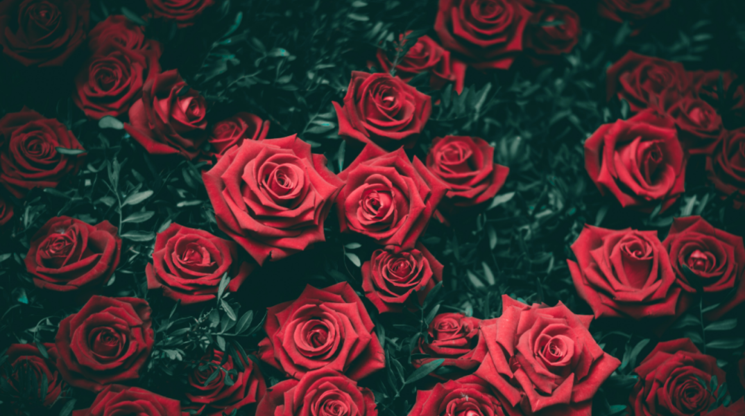 Εορτολόγιο: Σήμερα 29 Σεπτεμβρίου γιορτάζει…