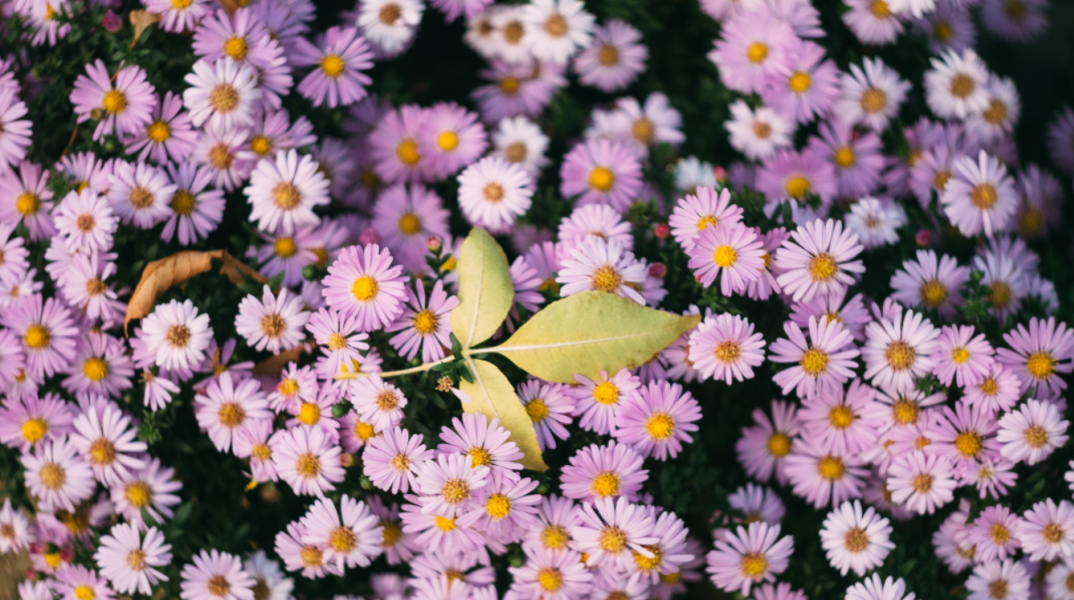 Εορτολόγιο: Σήμερα, 12 Οκτωβρίου, γιορτάζει…