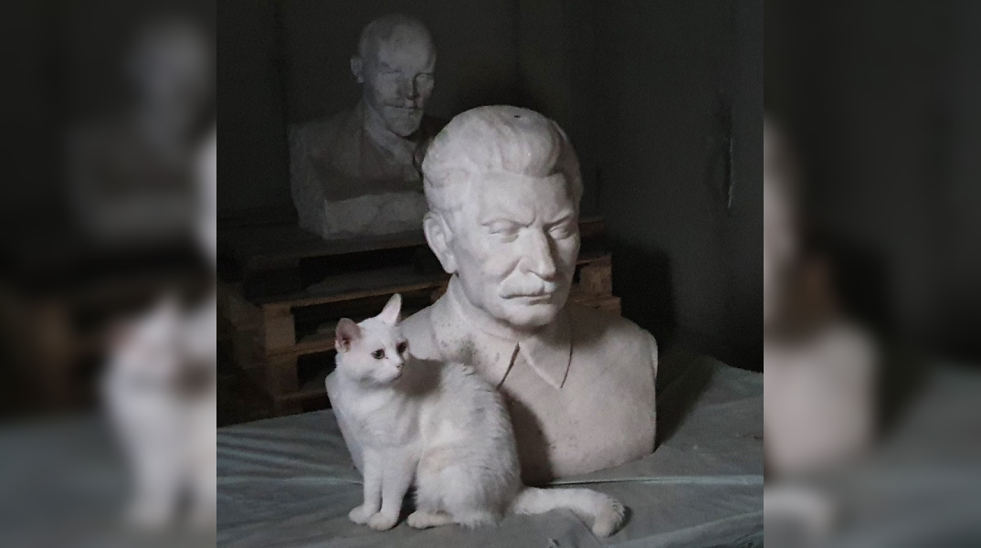 Τρομαγμένα ανθρωπάκια, τυφλά γατάκια