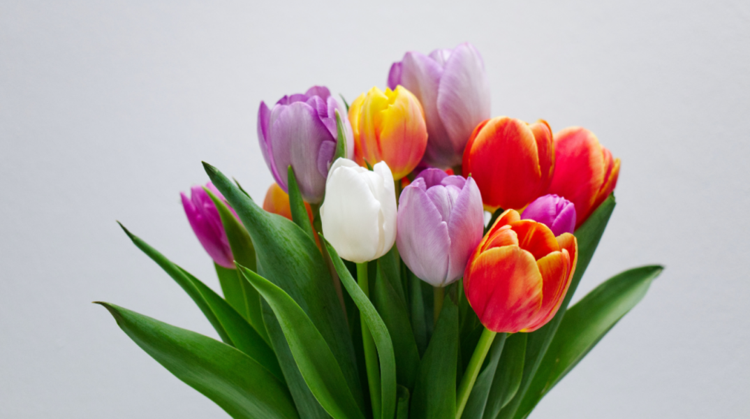 Εορτολόγιο: Σήμερα 30 Οκτωβρίου 2023 γιορτάζει…