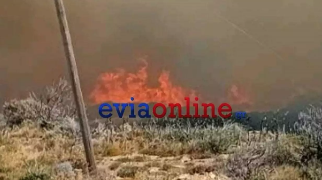 Φλόγες καίνε έκταση στην Κάρυστο