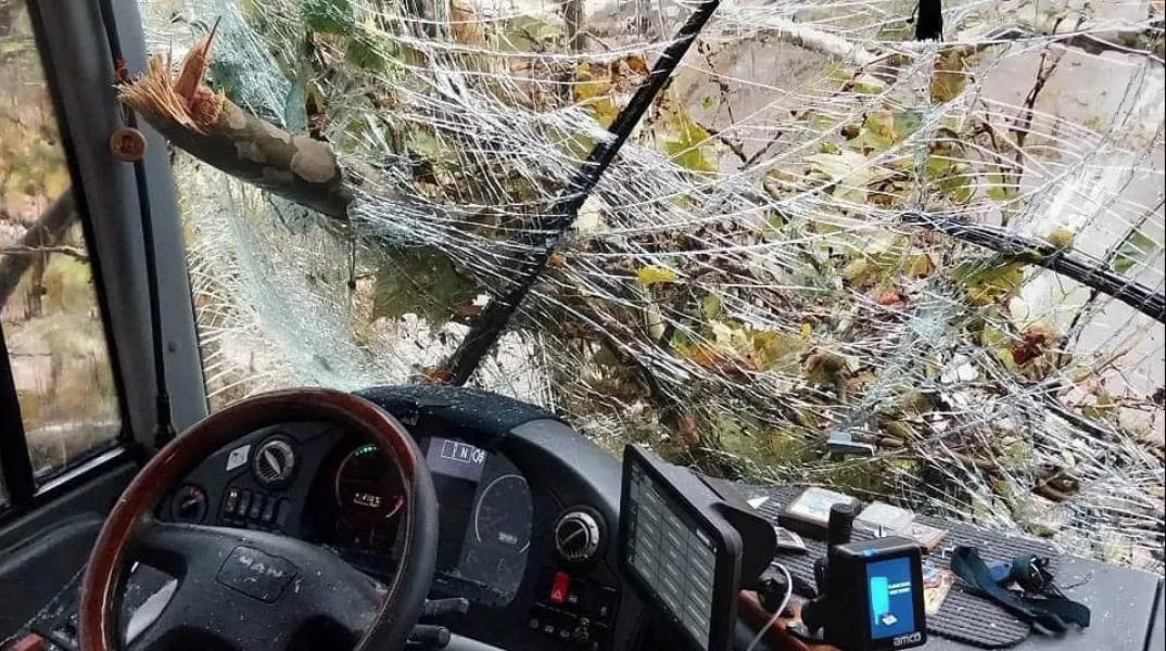 Κλαδί δέντρου καρφώθηκε λόγω της κακοκαιρίας σε παρμπρίζ λεωφορείου ενώ βρισκόταν εν κινήσει σε δρόμο της Ξάνθης