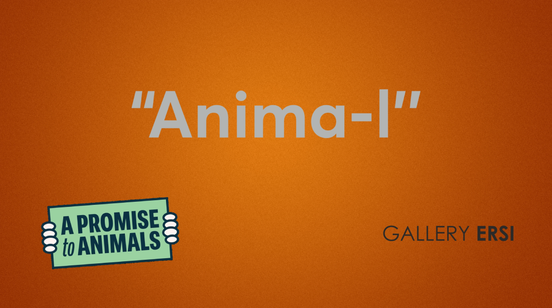 «Anima-I»: Η συμβολή των ζώων στην καλλιτεχνική πράξη