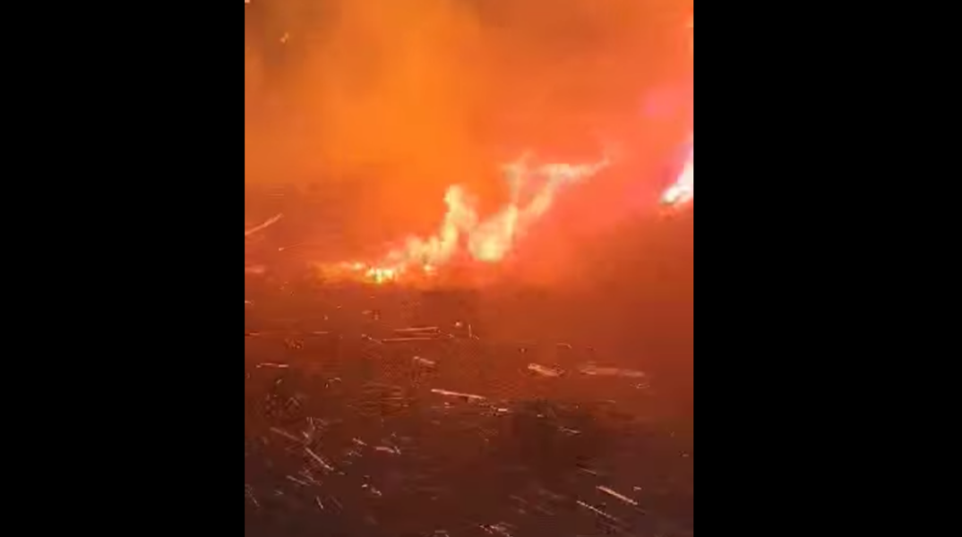 Φωτογραφία από τη φωτιά στην Κάστανο Χανίων