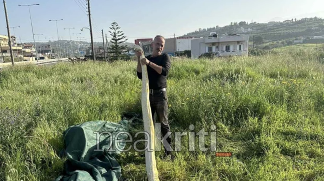 Άνδρας ποζάρει με τον νεκρό πύθωνα