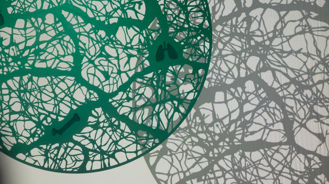 Organmeetings: Η αξία του να γίνεσαι δωρητής ζωής  