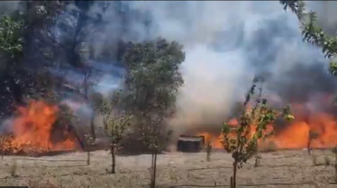 Φωτιά καίει σε χωράφι στην Κω