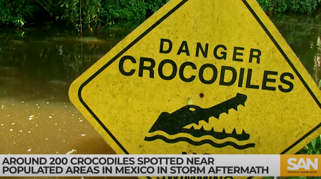 Κροκόδειλοι και πινακίδα για κίνδυνο