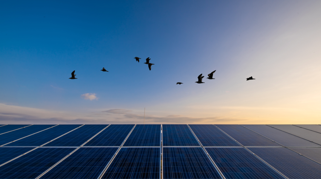 Ποιο είναι το πλεονέκτημα της χρήσης ανανεώσιμων πηγών ενέργειας στη μεταλλουργία;