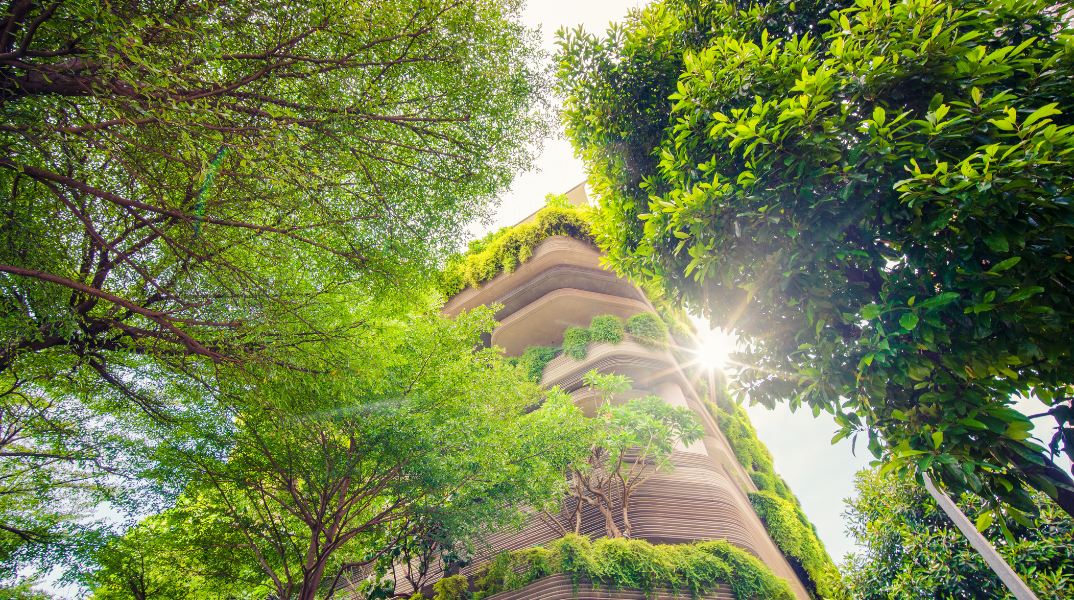 green_power_trivial_adventure_10