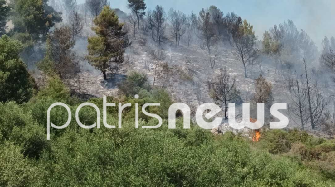 Οριοθετήθηκε η φωτιά στην Ηλεία