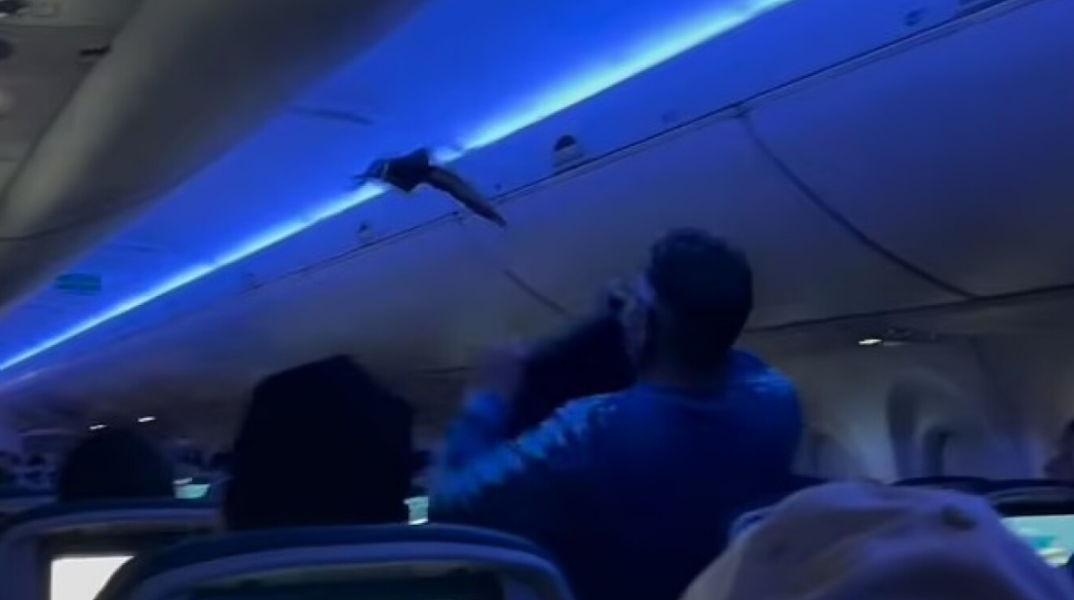 Απίστευτο περιστατικό σε πτήση της Delta -  Περιστέρια «επιβιβάστηκαν» στο αεροπλάνο