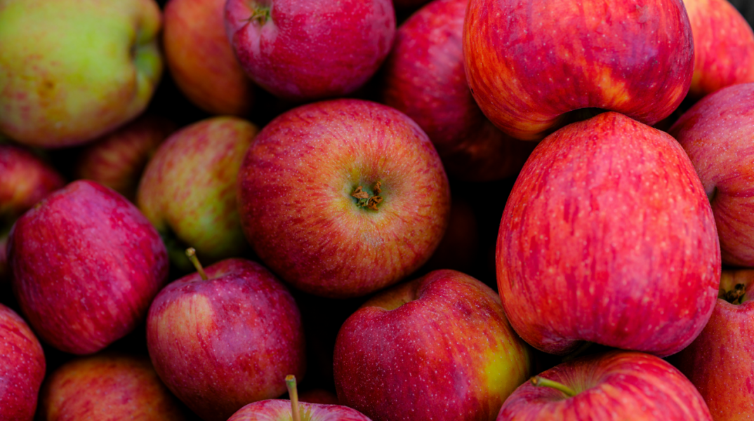 Γιατί οι Ινδοί επιστήμονες ψάχνουν απεγνωσμένα το τέλειο μήλο;