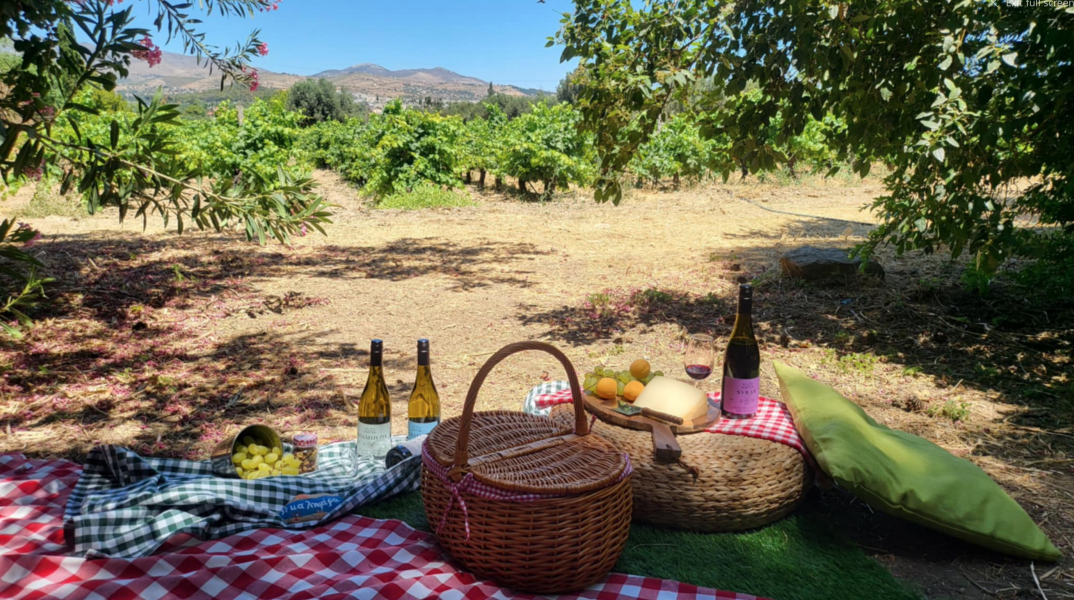 Πού θα κάνεις πικ νικ σε υπέροχο αμπελώνα πολύ κοντά στην Αθήνα;