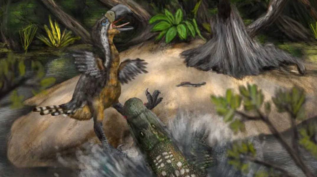 Σημάδια δοντιών δείχνουν ότι ένα «terror bird» σκοτώθηκε από ερπετό πριν από 13 εκατ. χρόνια