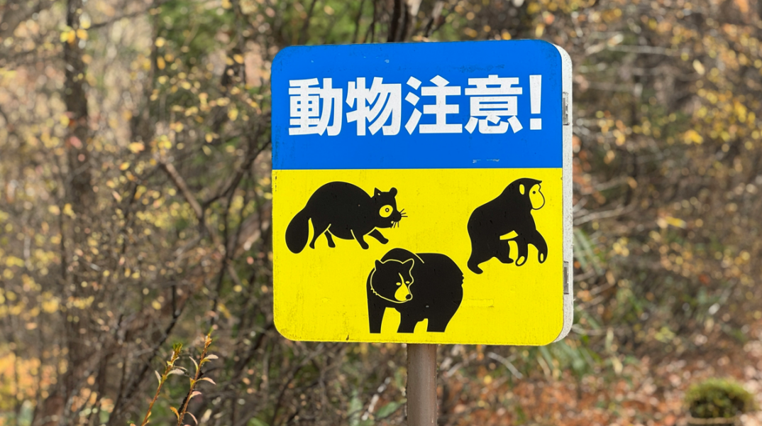 Δολοφονία ηλικιωμένου στην Ιαπωνία αποδόθηκε αρχικά σε… αρκούδα 