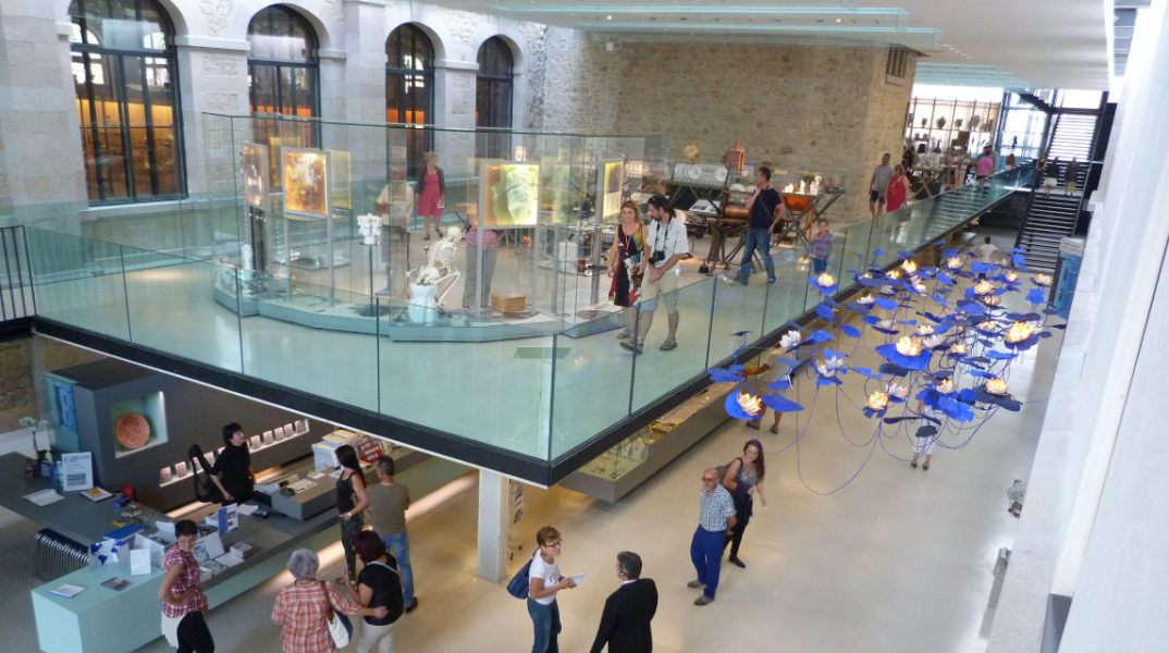 Έκλεψαν πορσελάνες αξίας 9,5 εκατ. ευρώ από μουσείο Λιμόζ της Γαλλίας © Musée national Adrien Dubouché