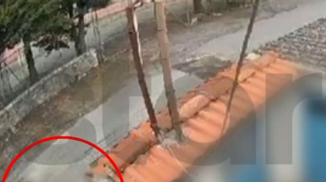 Στην εντατική ο 12χρονος από την Τρίπολη που τον μαχαίρωσε συμμαθητής του -Σοκάρει η αγριότητα στο βίντεο