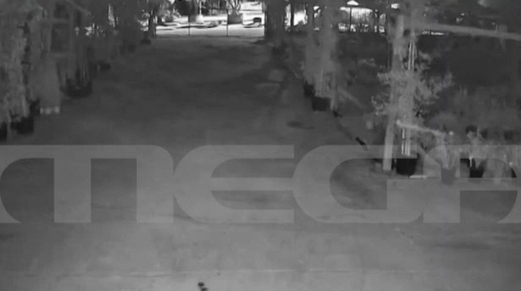 Φοινικούντα: Ηχητικό ντοκουμέντο για τη διπλή δολοφονία - Οι έξι βολές μέσα σε 11”