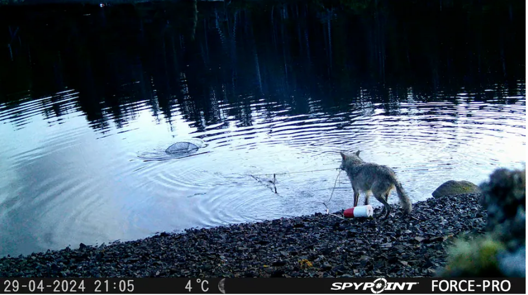 screenshot_2025-11-17_200209