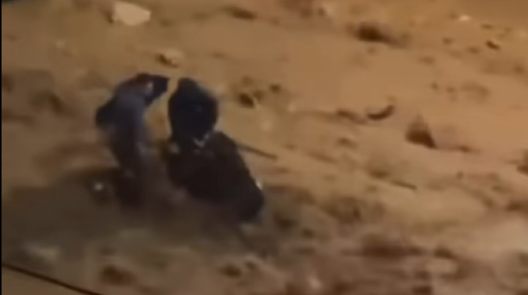 Απίστευτες εικόνες από την Άνω Γλυφάδα: Πολίτες σώζουν γυναίκα που παρασύρεται από τα ορμητικά νερά