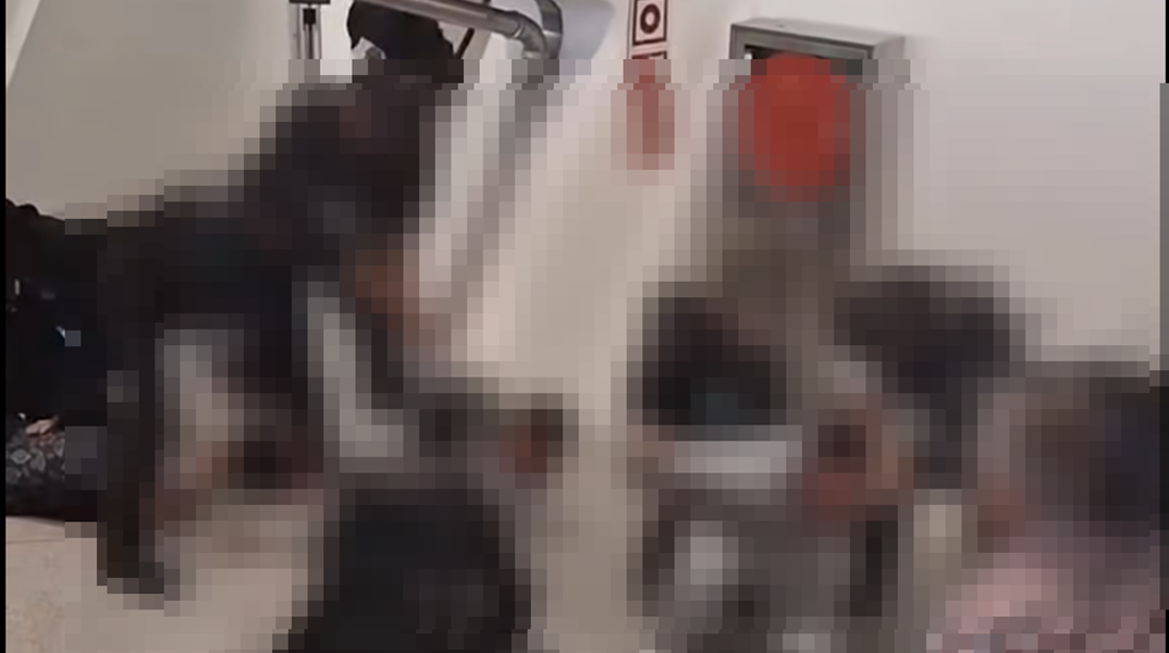 Σκηνές έντασης στο Μπιλμπάο: 4 συλλήψεις και καταγγελίες για αστυνομική βία κατά την άφιξη της Freedom Flotilla