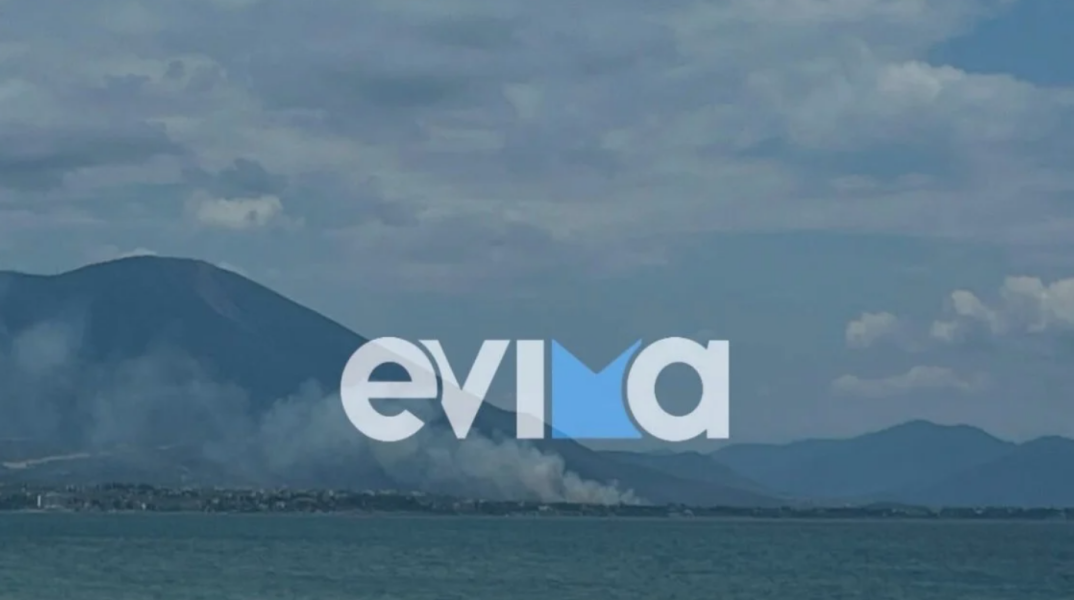 Φωτιά τώρα στην Εύβοια