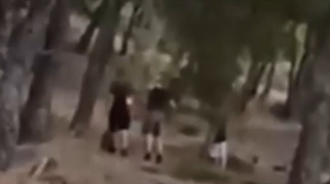 Άνω Βριλήσσια: 13χρονοι έβαζαν φωτιά στο δάσος για «challenge»