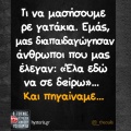 Αστεία memes, ατάκες, YOLO βίντεο, viral, αστεία video στο TikTok που ανέβηκαν στο διαδίκτυο και μας έκαναν να γελάσουμε.