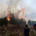 Πυροσβέστες επιχειρούν για την κατάσβεση πυρκαγιάς