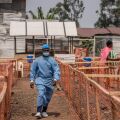 Mpox - ευλογιά των πιθήκων: Επείγουσα σύγκληση του Παγκόσμιου Οργανισμού Υγείας στις 22 Νοεμβρίου - Συνεχίζει να εξαπλώνεται στην Αφρική. 