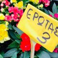 Ανθοέκθεση Καλαμαριάς