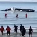 συντριμμια αεροσκαφους, κοσμος